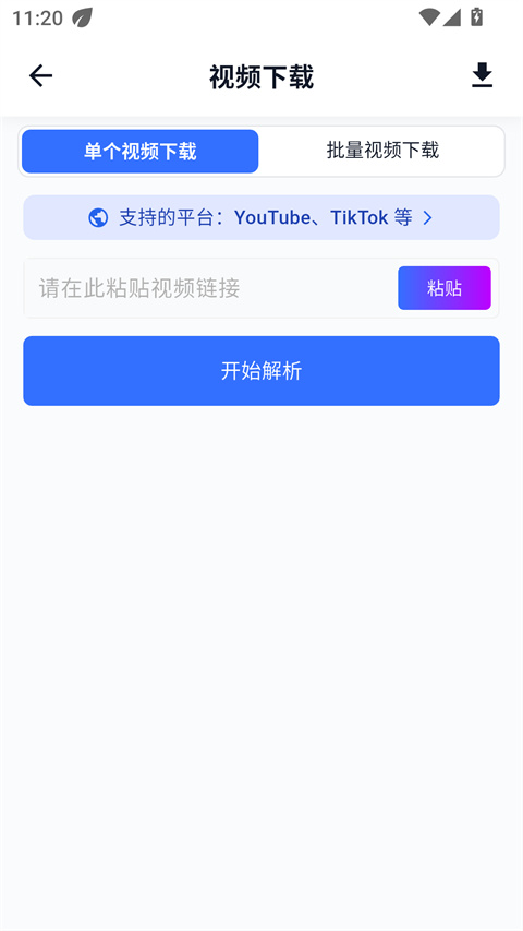 DataTool 单视频下载页：标签、平台提示与解析按钮